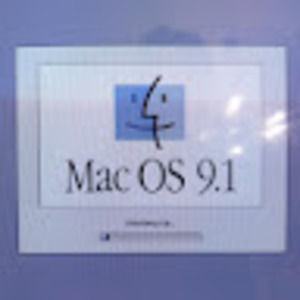 Meet your Posher, Shane